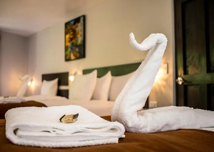 Hotel Samananchis 2*